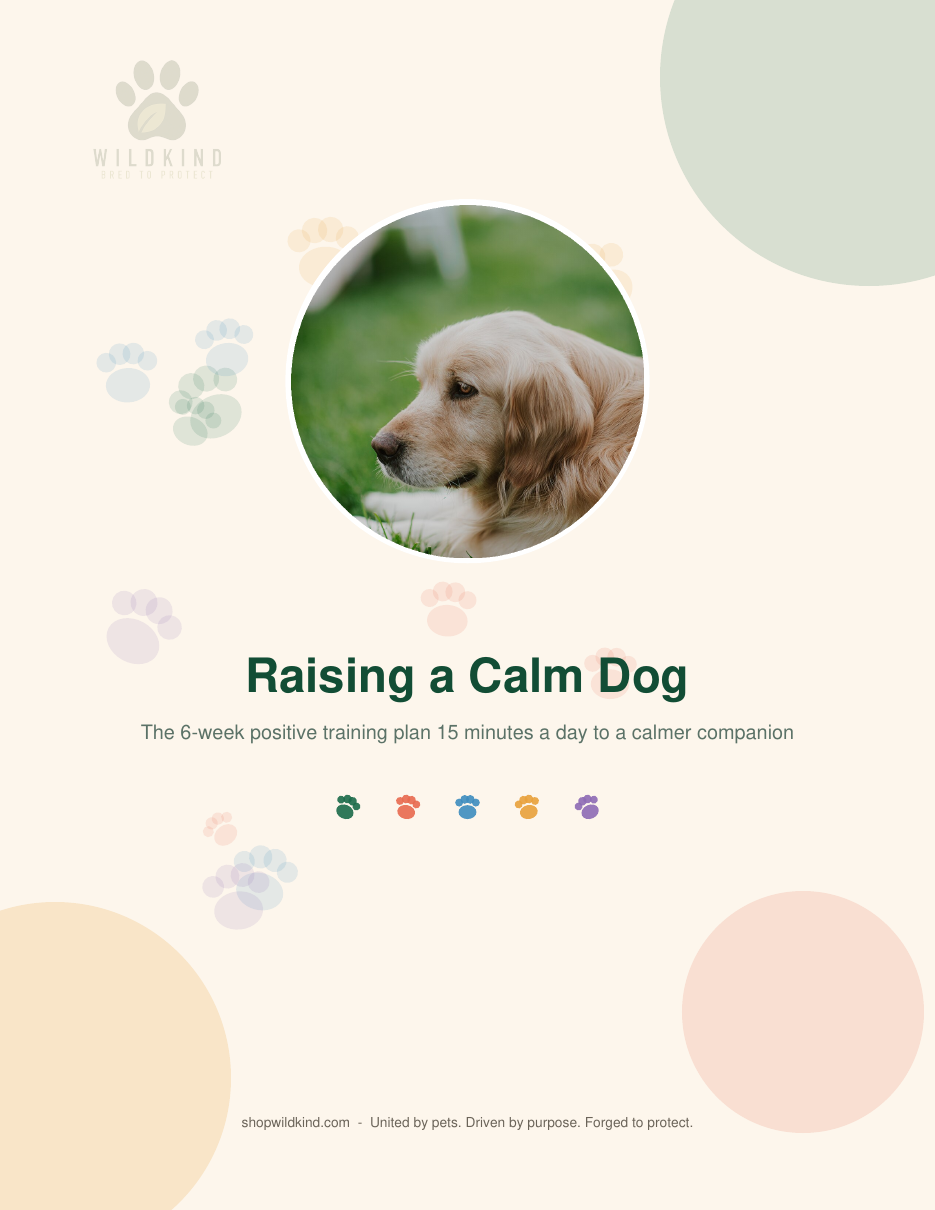 Raising a Calm Dog training plan cover