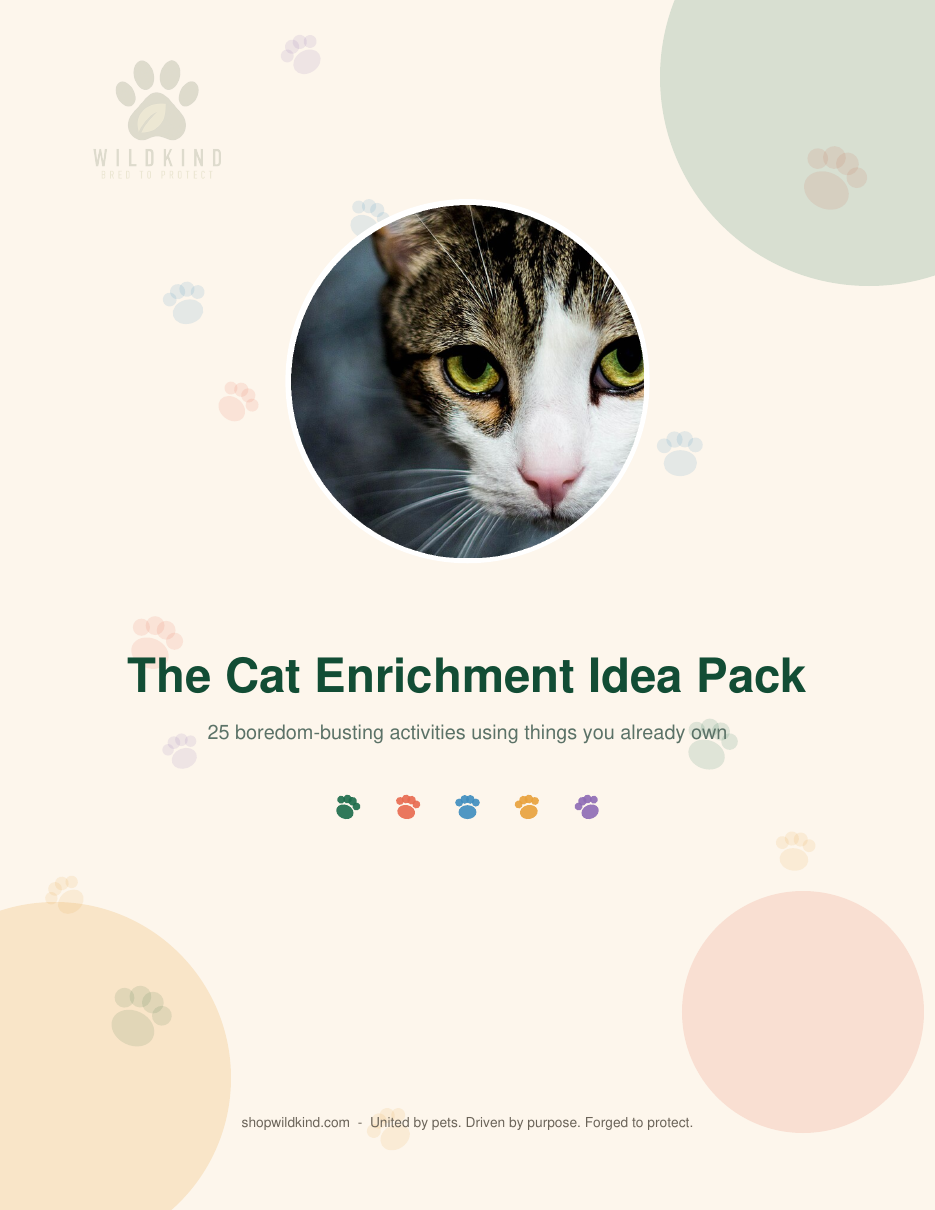 Cat Enrichment Idea Pack cover