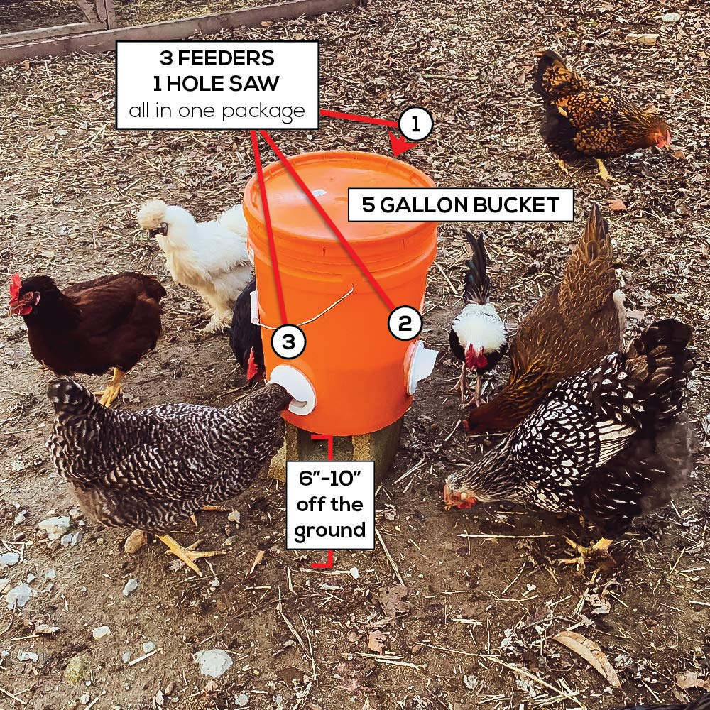 No-Waste Chicken Feeder Port Kit (DIY)