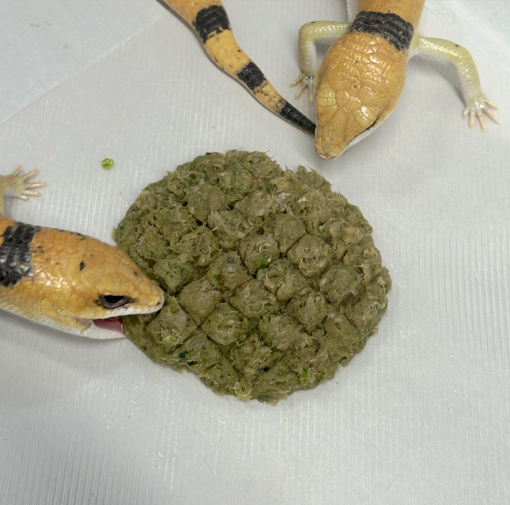 Raw, Freeze-Dried 25/25/50 Patties for Bearded Dragons and Blue Tongued Skinks