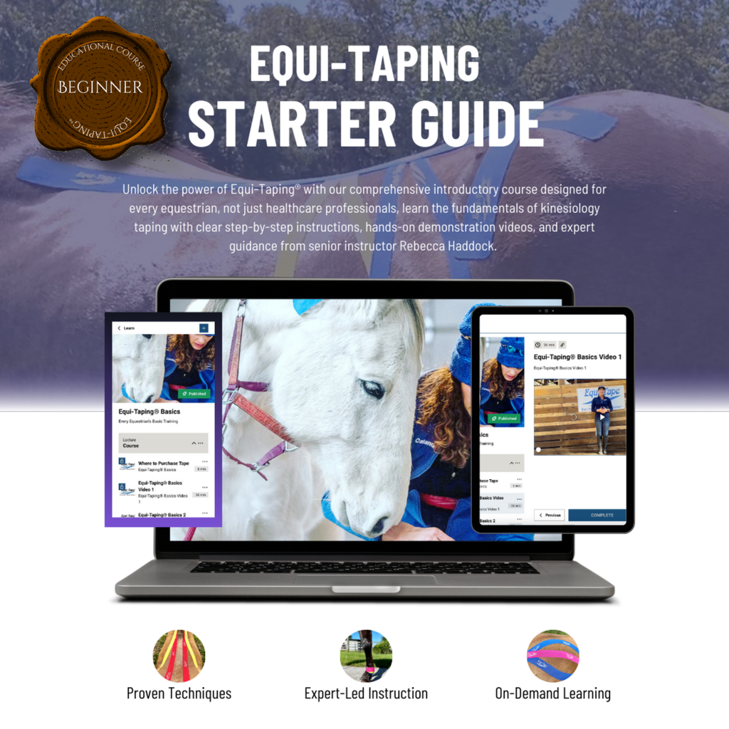 Equi-Taping® Basics Course