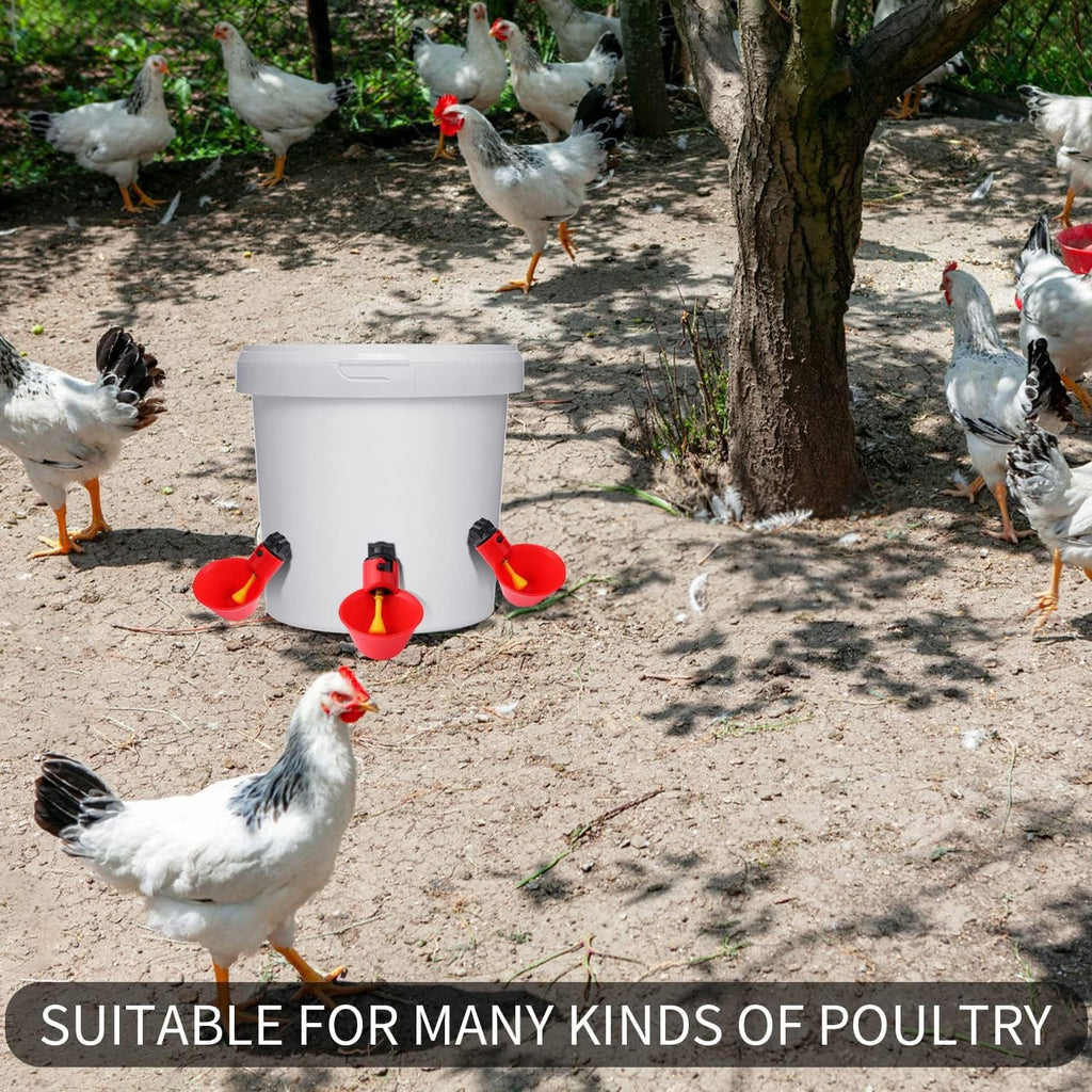 Automatic Chicken Waterer Cups (12-Pack)
