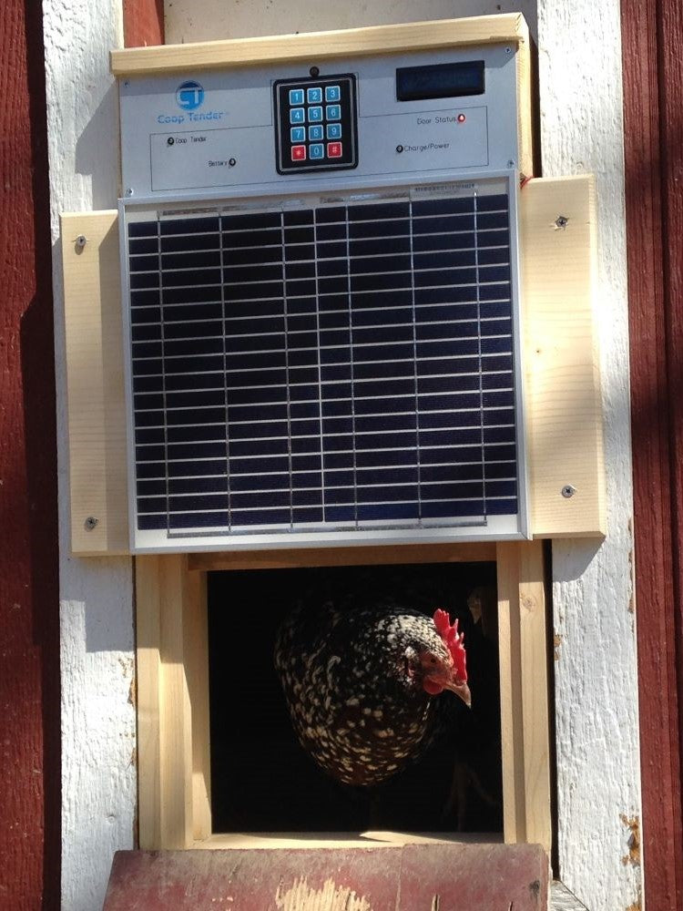 Automatic Door For Chicken Coop - Electric