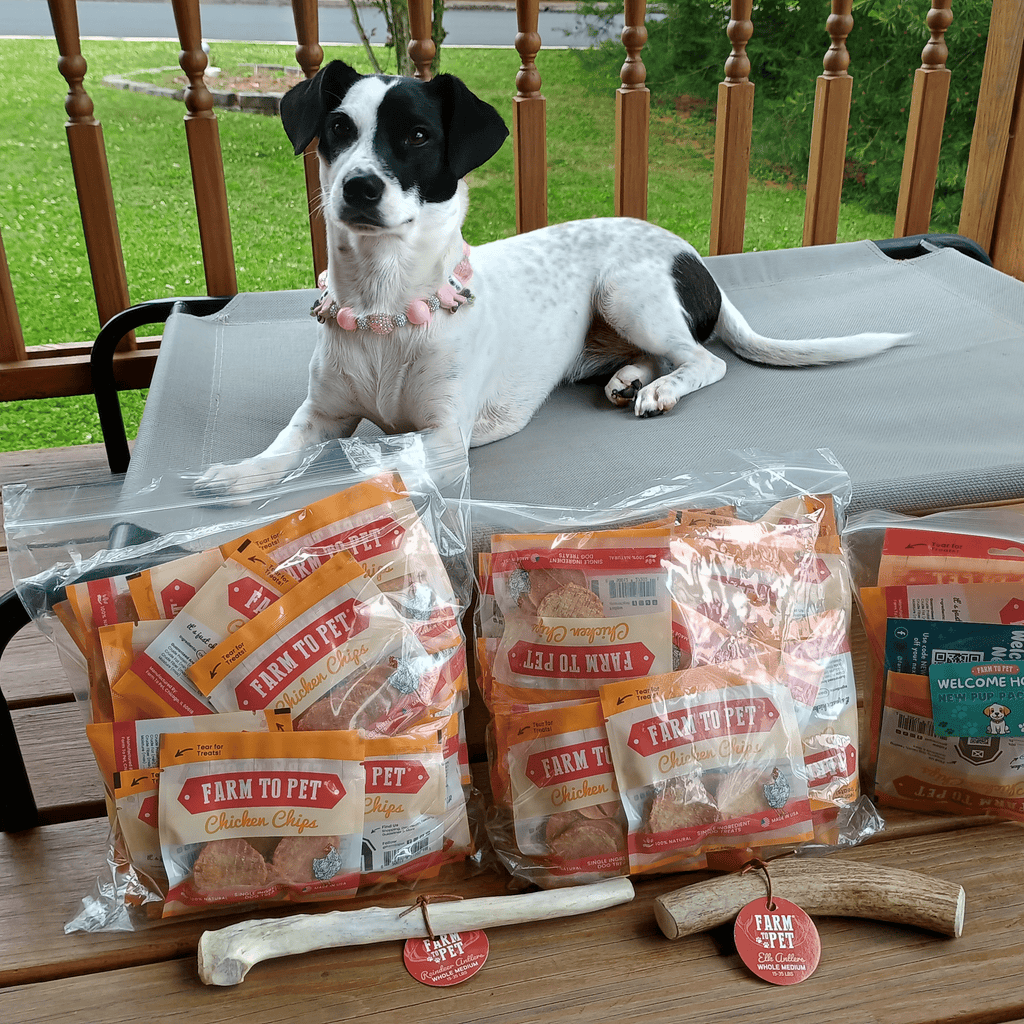 REINDEER ANTLERS FOR DOGS | ANTLER DOG CHEWS FOR AGGRESSIVE CHEWERS