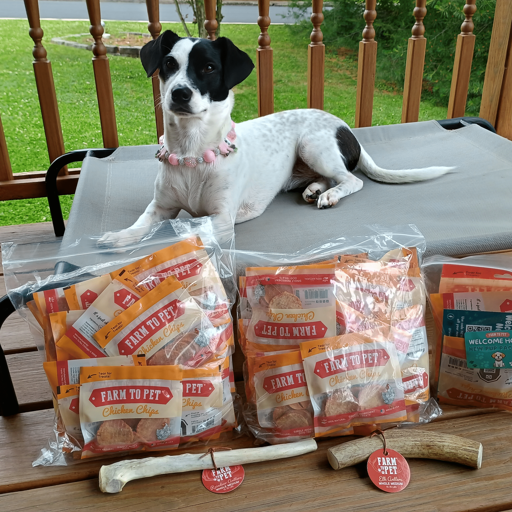 REINDEER ANTLERS FOR DOGS | ANTLER DOG CHEWS FOR AGGRESSIVE CHEWERS