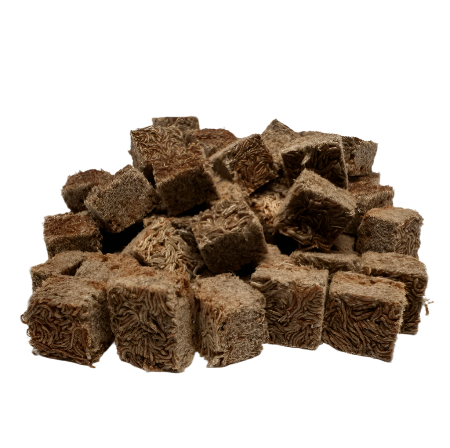 Super Cichlids Freeze-Dried Blackworms with Color Boost (All Natural, High Protein Fish Food)