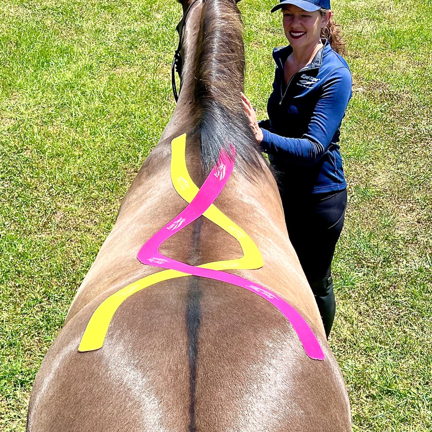 Non Pro Education Bundle