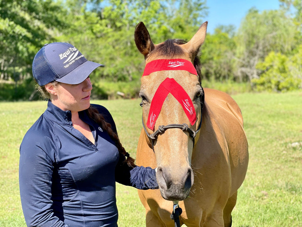 Non Pro Education Bundle