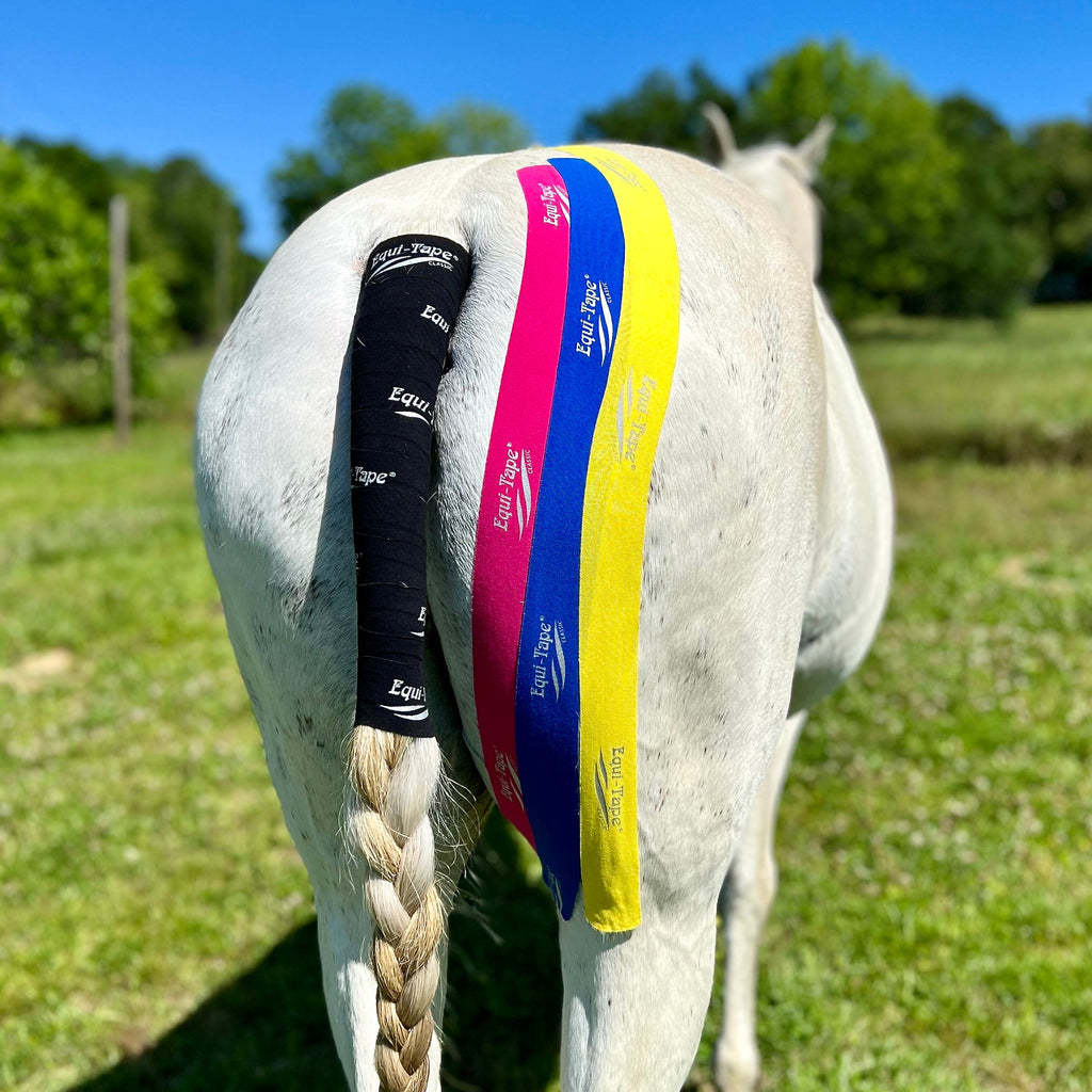 Non Pro Education Bundle