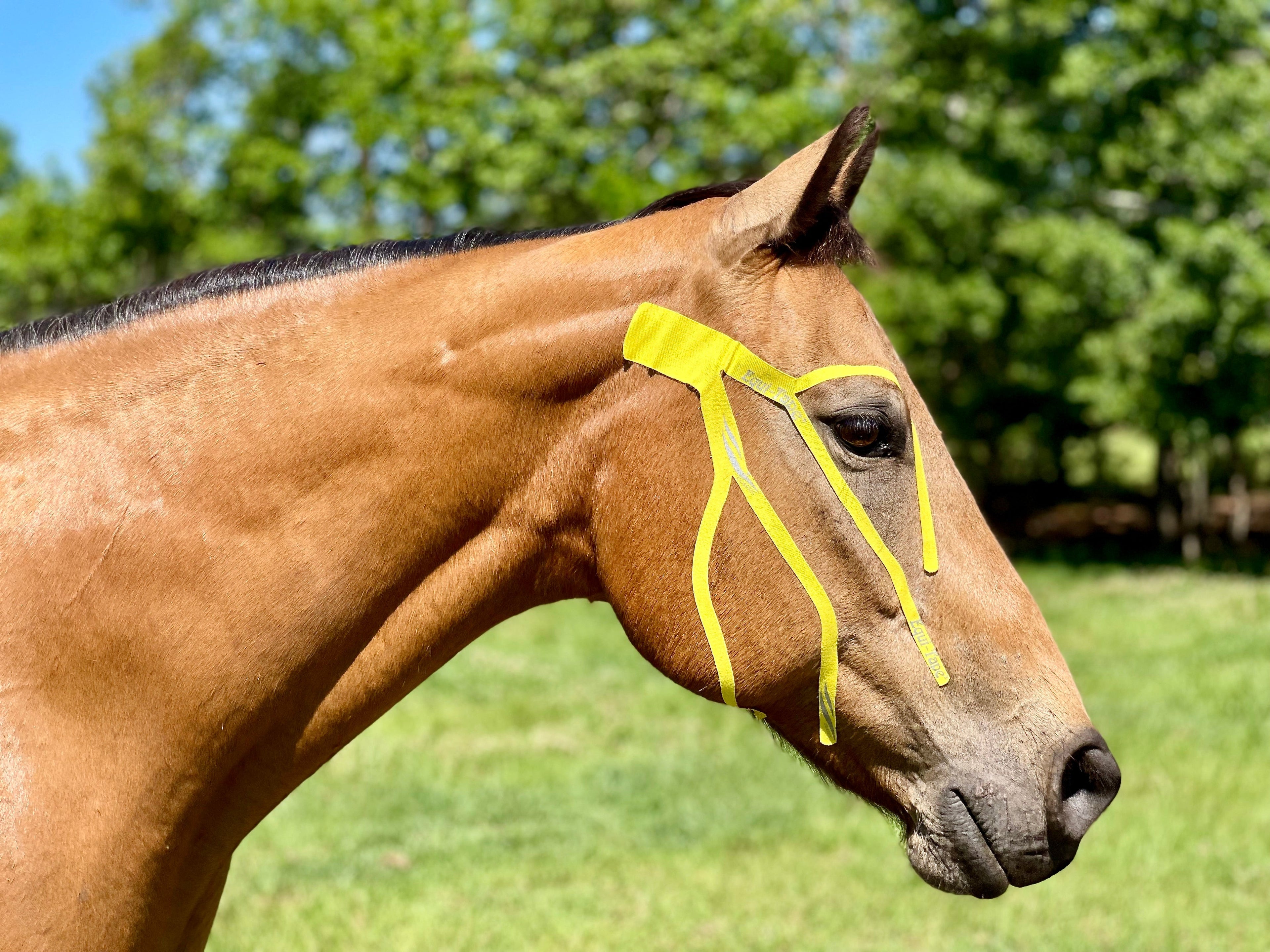 Practical Solutions À LA CARTE