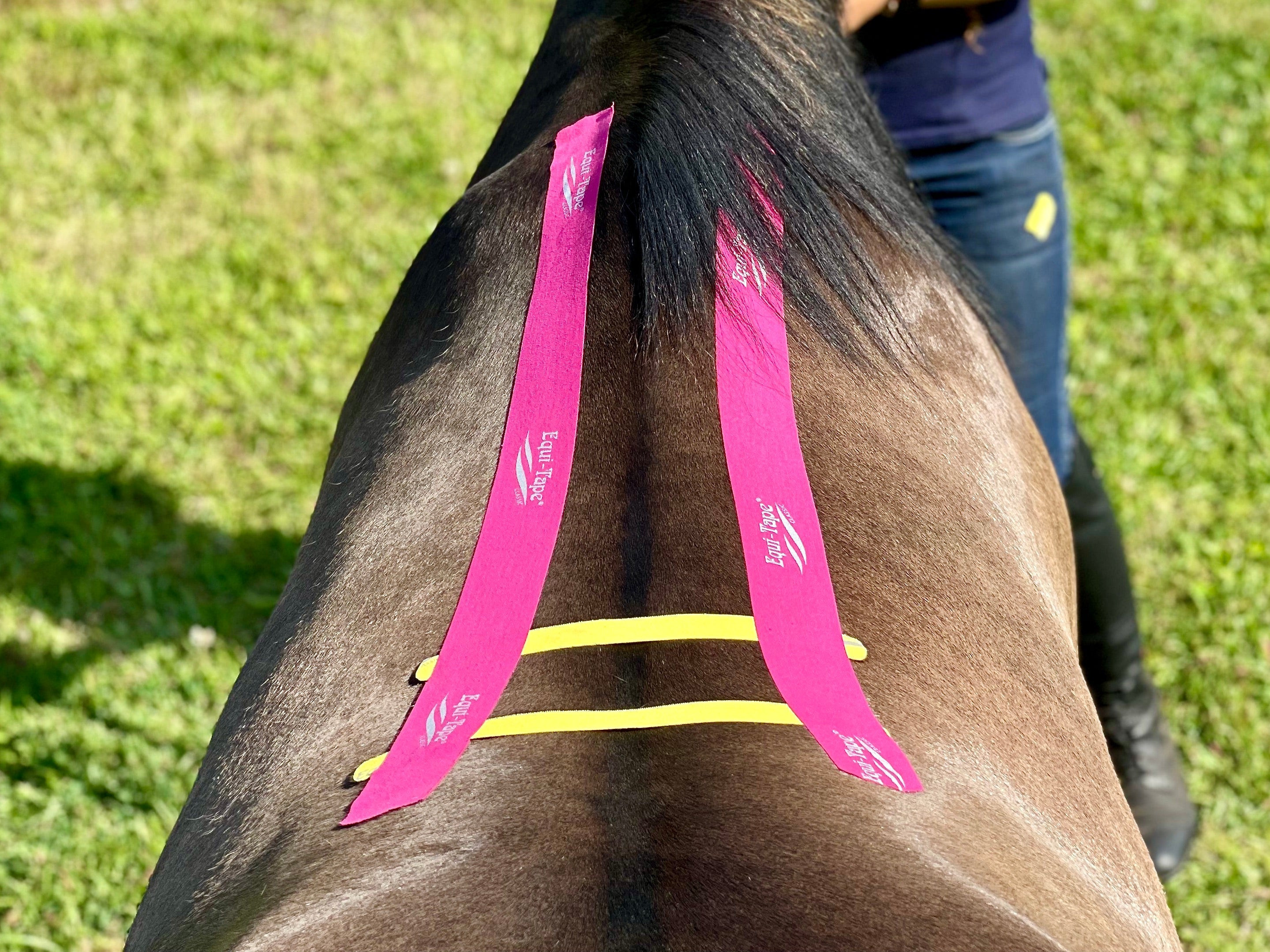 Practical Solutions À LA CARTE