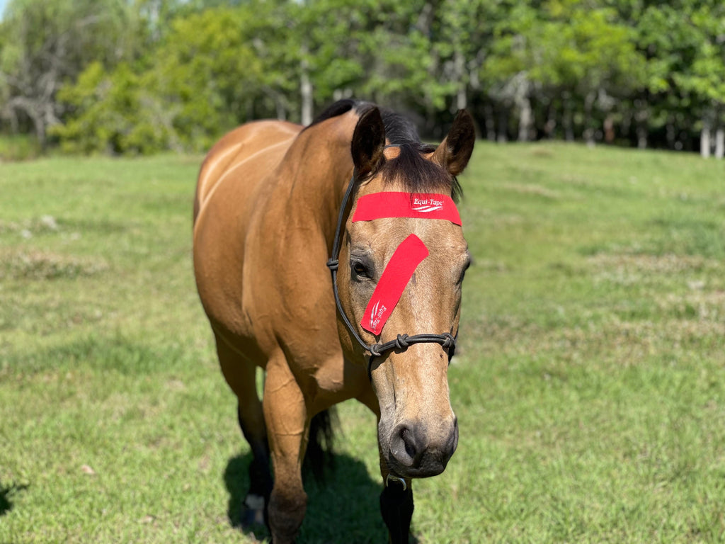 Practical Solutions À LA CARTE