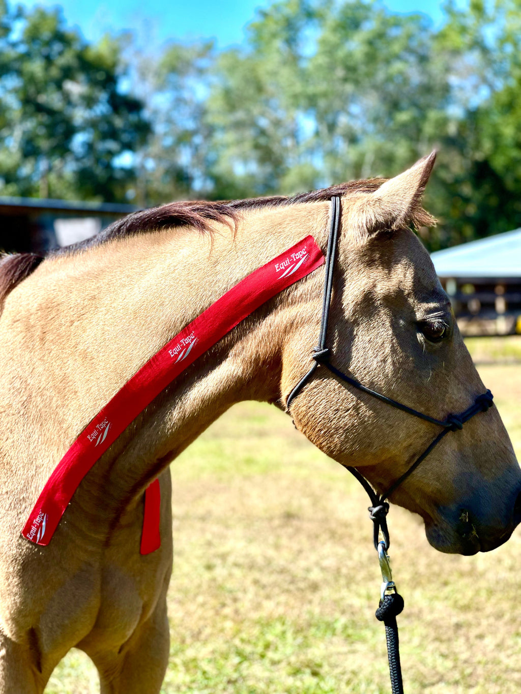 Practical Solutions À LA CARTE