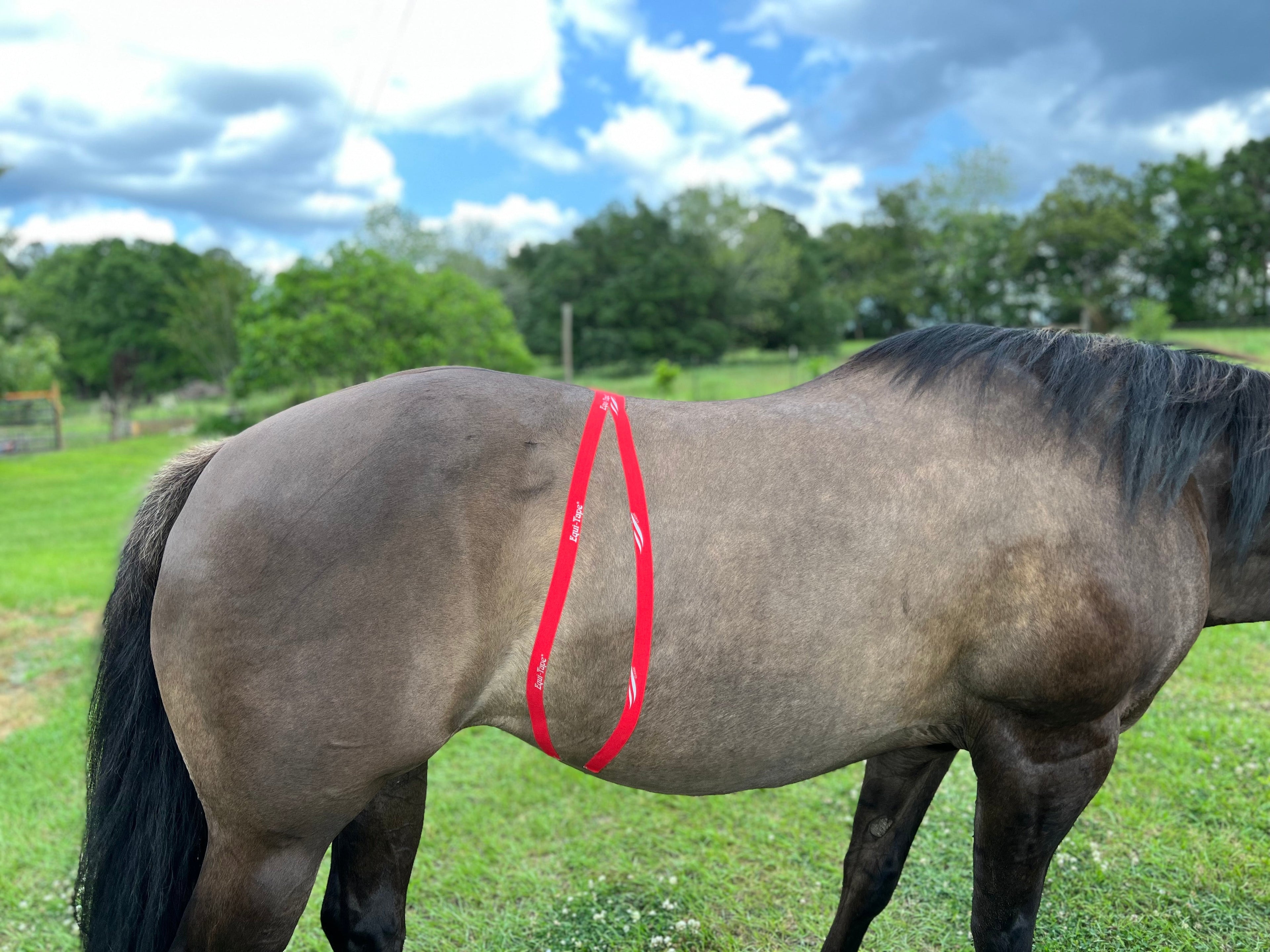 Practical Solutions À LA CARTE