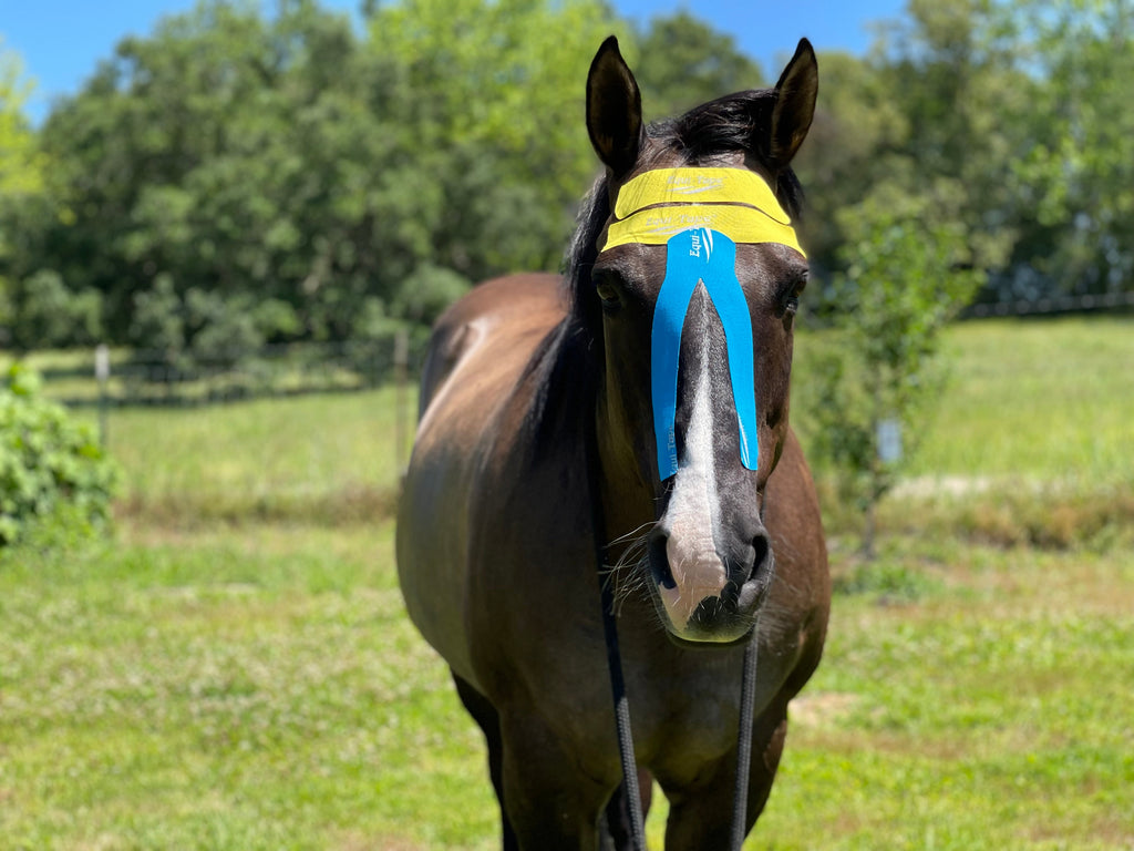 Practical Solutions À LA CARTE