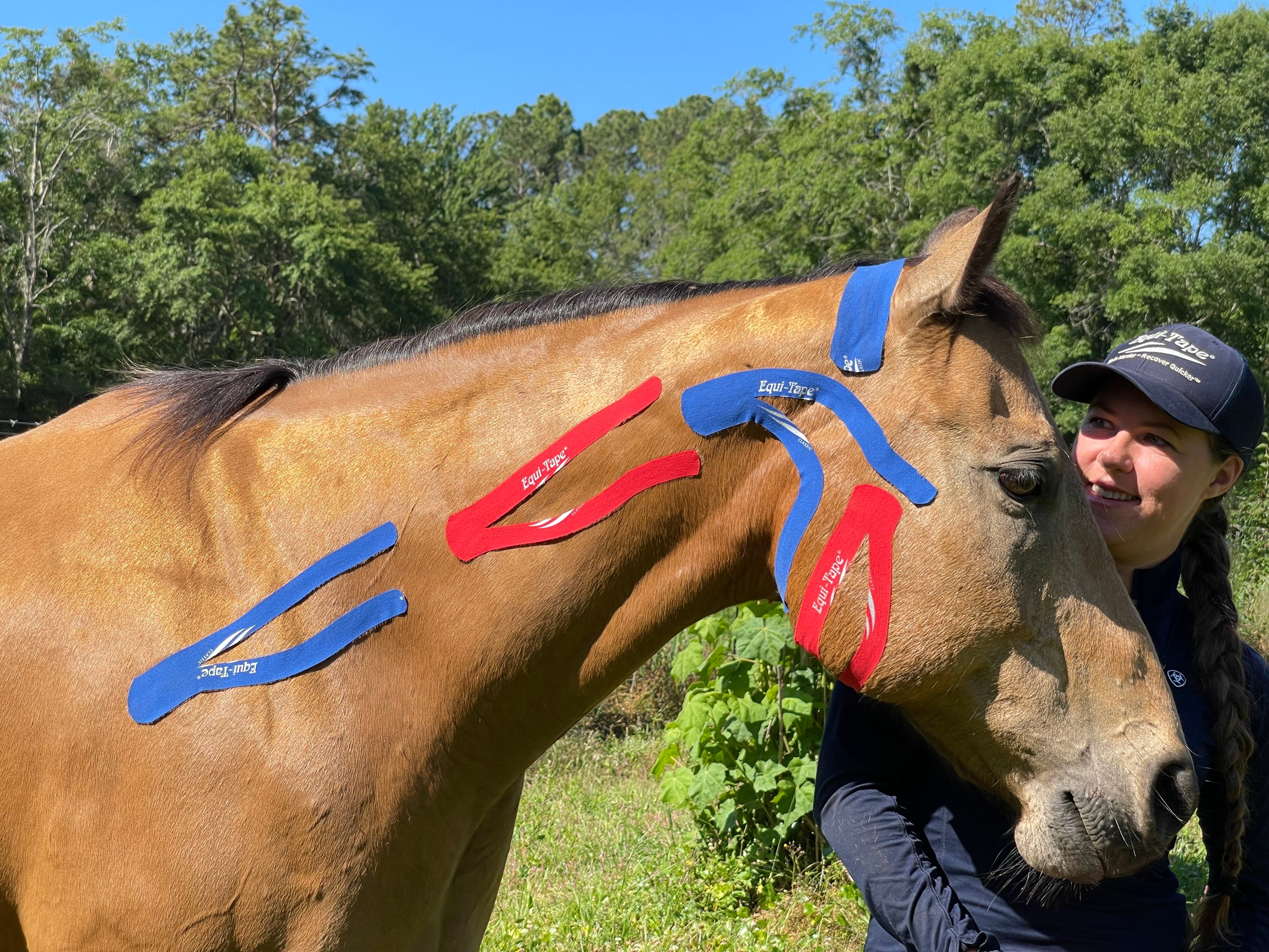 Non Pro Education Bundle