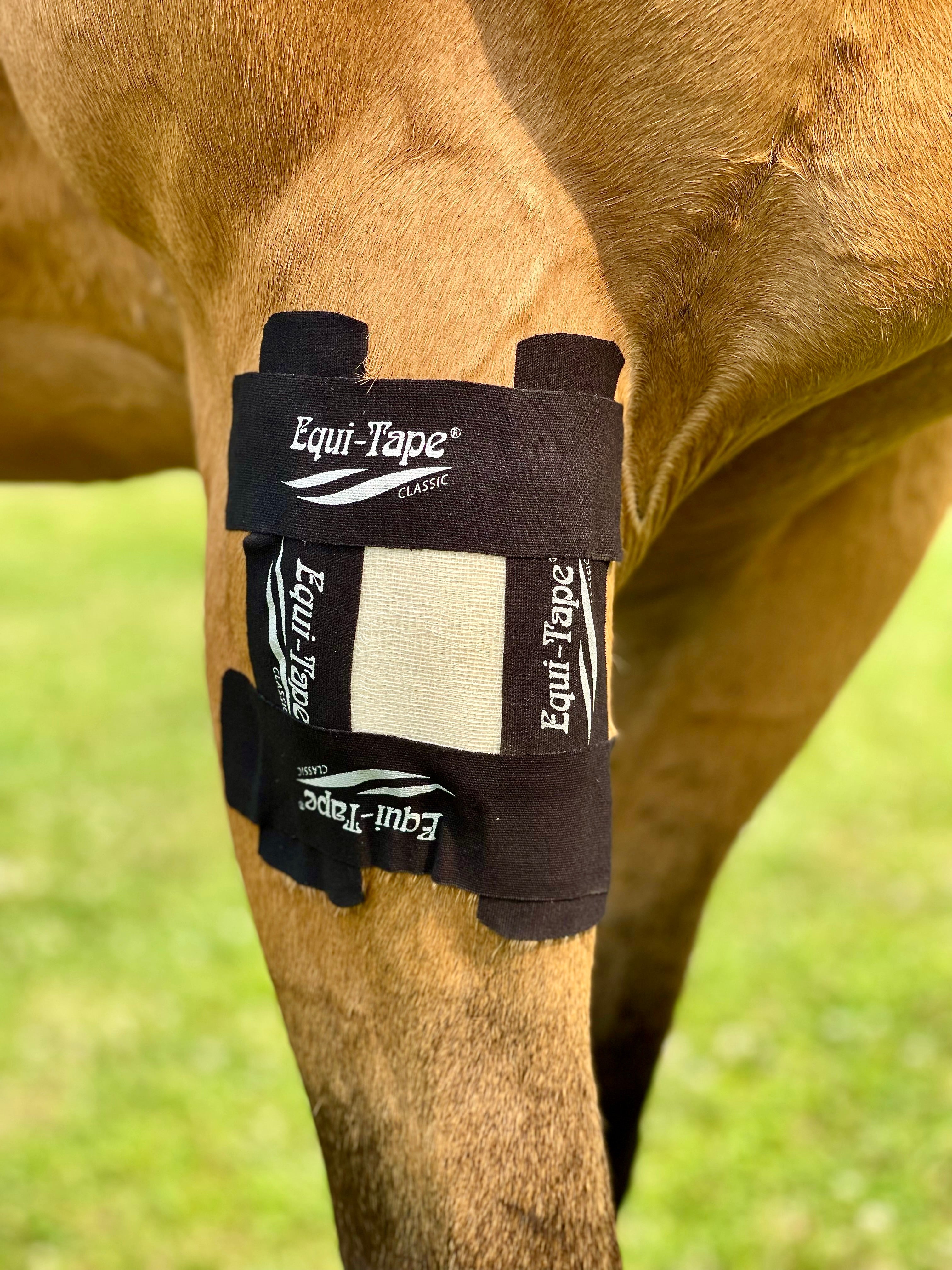 Equi-Taping® Kit