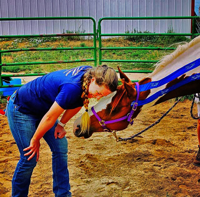 Non Pro Education Bundle