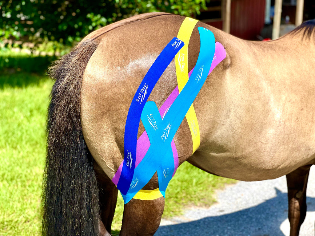 Equi-Tape® Fundamentals Course & Module Bundle