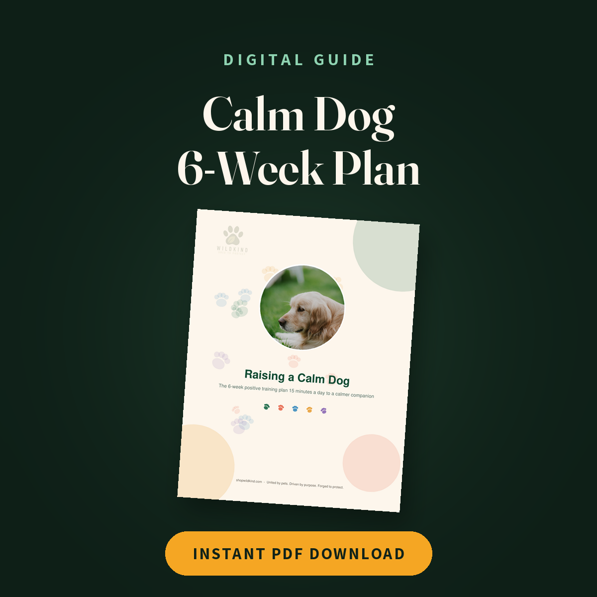 Raising a Calm Dog: 6-Week Training Plan (Digital) cover