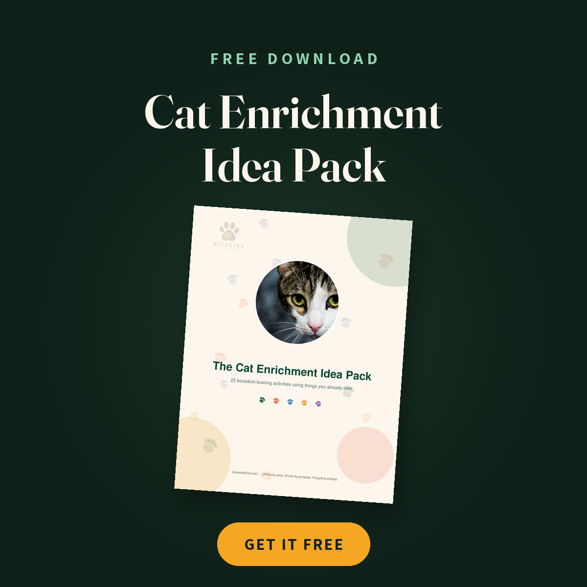 FREE: The Cat Enrichment Idea Pack cover