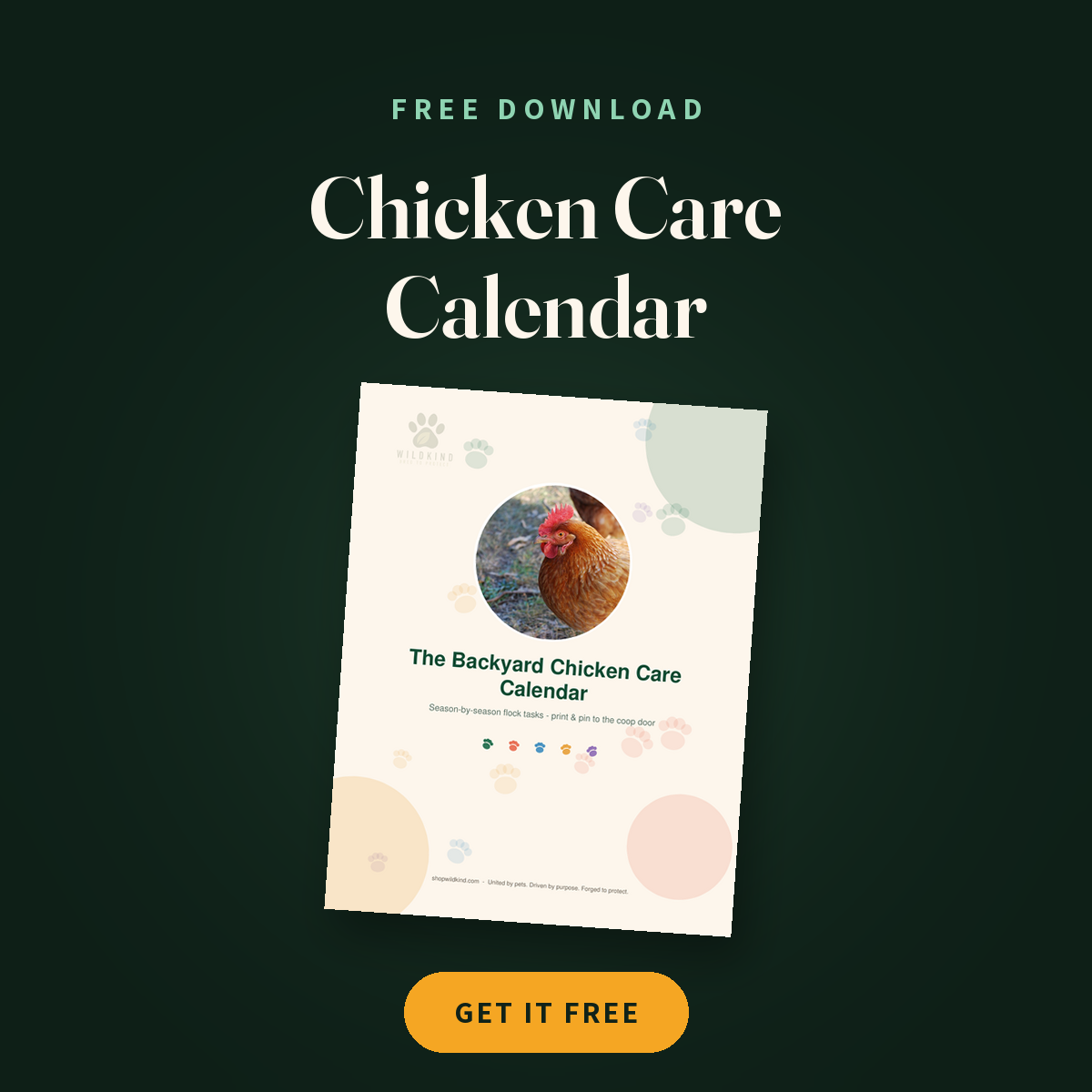 FREE: The Backyard Chicken Care Calendar cover