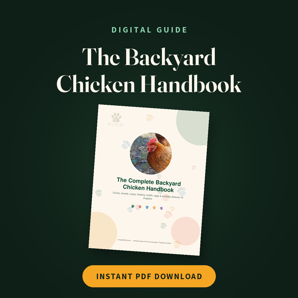 The Complete Backyard Chicken Handbook (eBook) cover