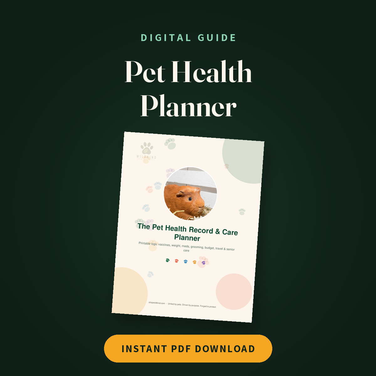 The Pet Health Record & Care Planner (Printable) cover