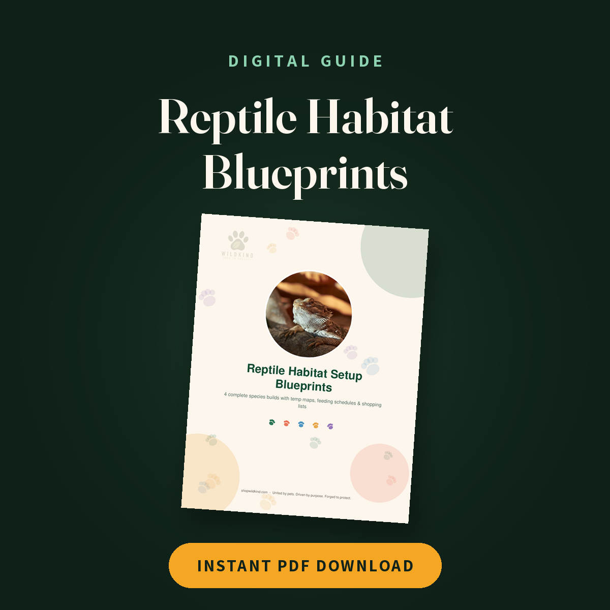 Reptile Habitat Setup Blueprints (Digital) cover