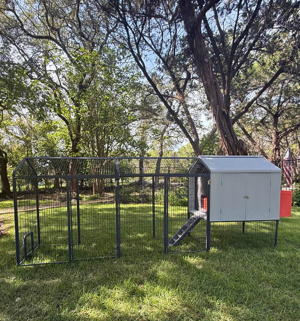 The Smart Coop + 2X Extended Run (+ Free Chicks! 🐣 + Solar! ☀️)