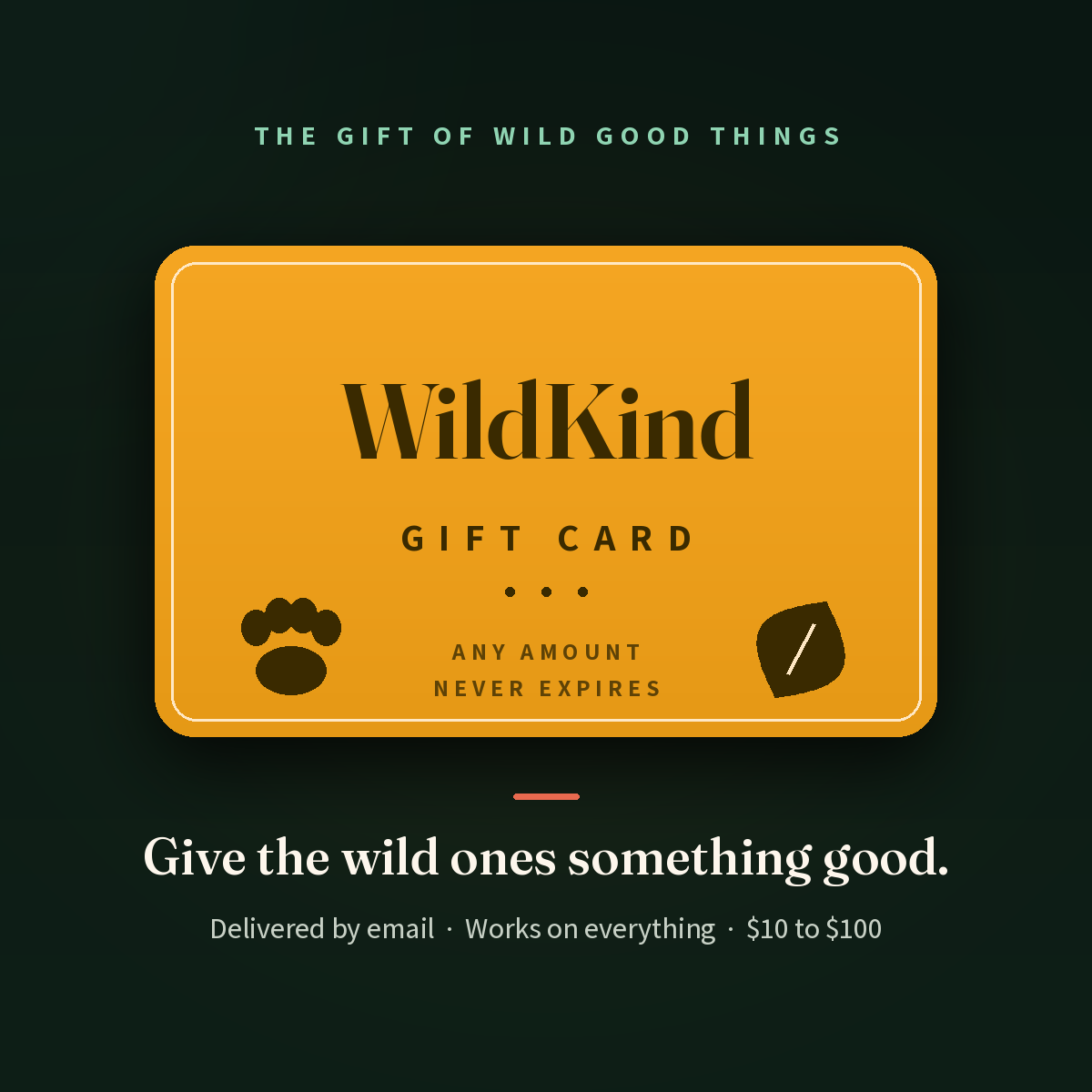 WildKind digital gift card — amber gift card on a deep forest background. Never expires, delivered by email.