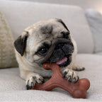 Nylabone Strong Chew Wishbone Dog Chew Toy Bacon Small